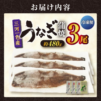 三河一色産うなぎ蒲焼 3尾(約480g)　・O067