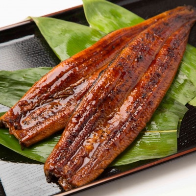 三河一色産うなぎ蒲焼 5尾(約800g)　・O069