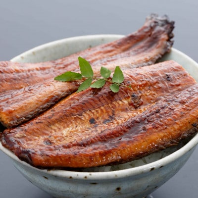 三河一色産うなぎ蒲焼 5尾(約800g)　・O069