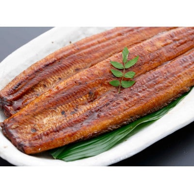 三河一色産うなぎ蒲焼 6尾(約960g)　・O070