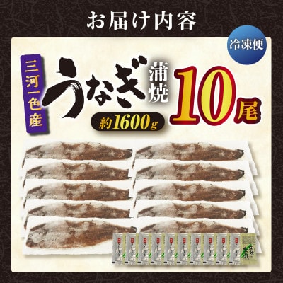 三河一色産うなぎ蒲焼 10尾(約1600g)　・O072