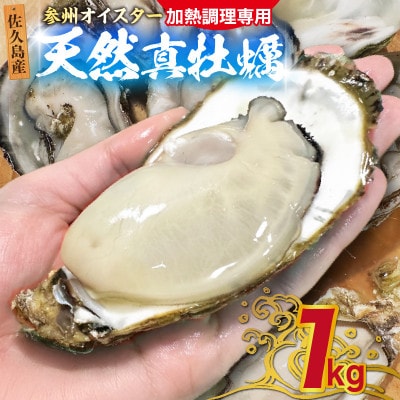 佐久島産天然真牡蠣　参州オイスター　1kg・E029