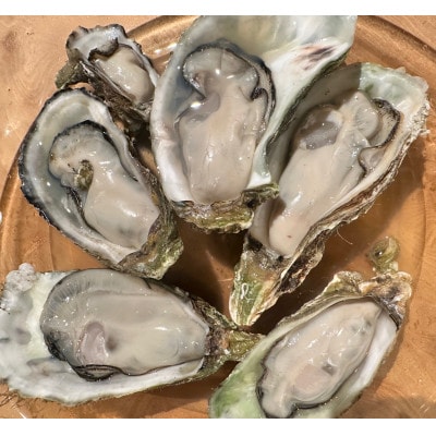 佐久島産天然真牡蠣　参州オイスター　1kg・E029