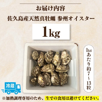 佐久島産天然真牡蠣　参州オイスター　1kg・E029