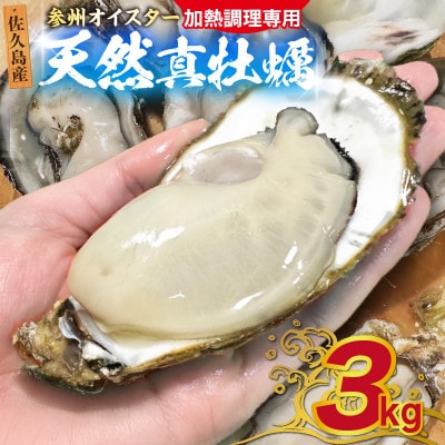 佐久島産天然真牡蠣　参州オイスター　3kg・E030