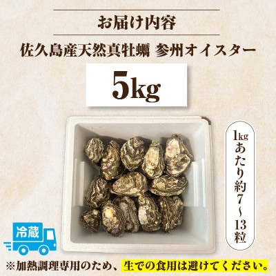 佐久島産天然真牡蠣　参州オイスター　5kg・E031
