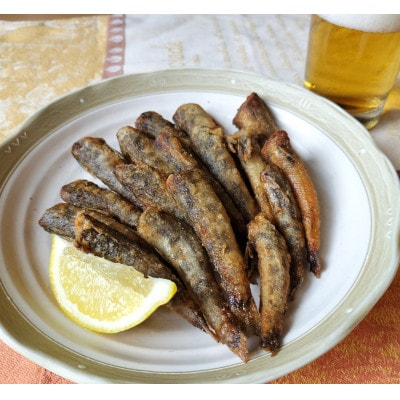 メヒカリ唐揚げ詰合せ5袋・H071