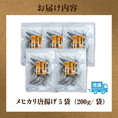 メヒカリ唐揚げ詰合せ5袋・H071