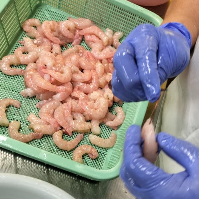 国産天然・無添加ムキエビ・H072