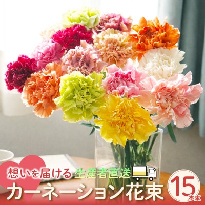 【母の日までにお届け(4/20までに決済完了)】生産者直送　想いを届けるカーネーション花束・T164