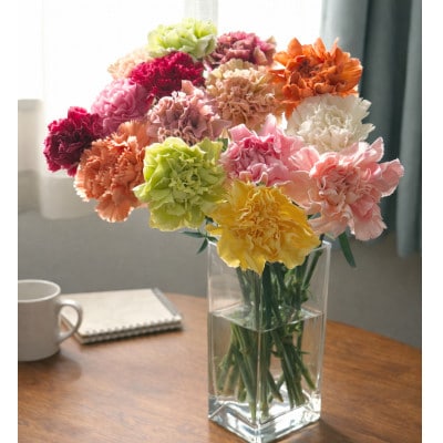 生産者直送　想いを届けるカーネーション花束・T164