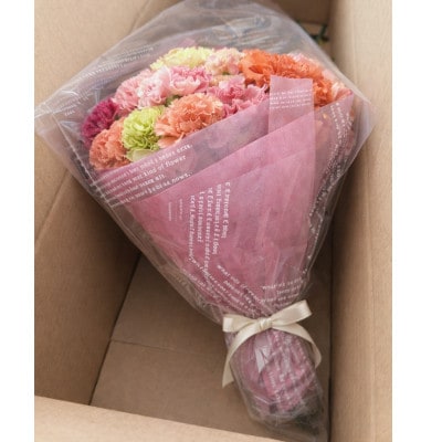 生産者直送　想いを届けるカーネーション花束・T164