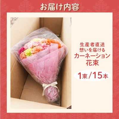 【母の日までにお届け(4/20までに決済完了)】生産者直送　想いを届けるカーネーション花束・T164