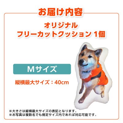 オリジナルフリーカットクッション両面プリントMサイズ(最大40cm)・F044