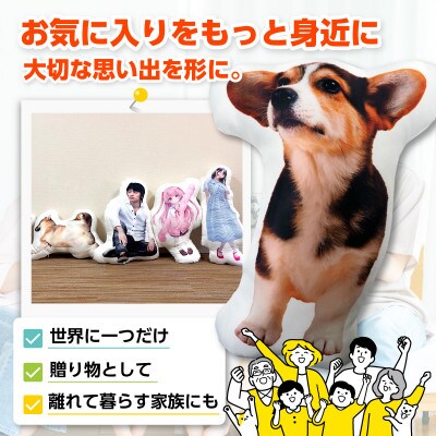 オリジナルフリーカットクッション両面プリントLサイズ(最大60cm)・F045