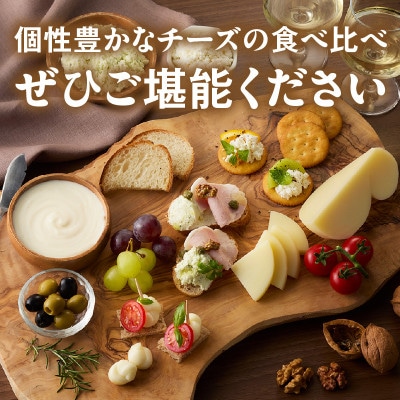 【国産】サントルチオの手づくりチーズ5種食べ比べセット・S104