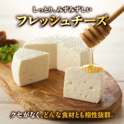 【国産】みずみずしいフレッシュチーズ「ケージョ・フレスカル」320g・S108