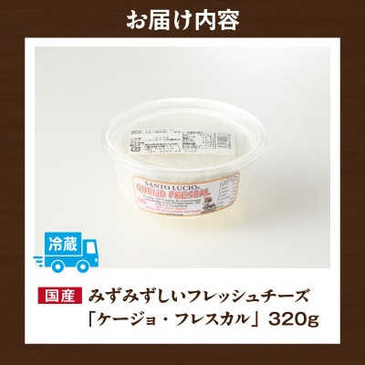 【国産】みずみずしいフレッシュチーズ「ケージョ・フレスカル」320g・S108