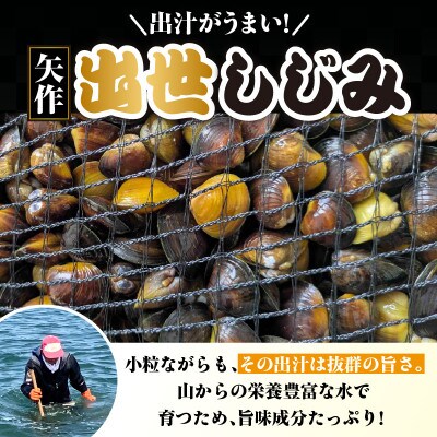 矢作　出世しじみ(レトルトパック130g×10)・M145