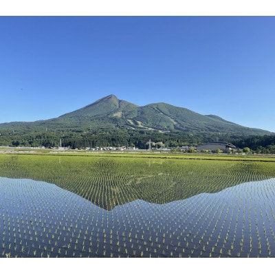 米・食味分析鑑定コンクール国際大会　国際総合部門金賞　会津産ゆうだい21　白米5キロ　