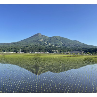 米食味分析鑑定コンクール国際大会　国際総合部門　金賞受賞　会津産ゆうだい21　白米10キロ　