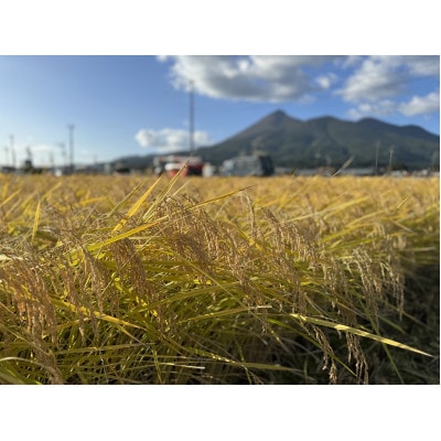 ギネス認定「世界最高米(R)」原料米認定　会津産　ゆうだい21:白米2キロ