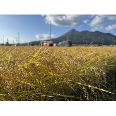 【毎月定期便】「世界最高米」認定　ゆうだい21白米5キロ　全6回