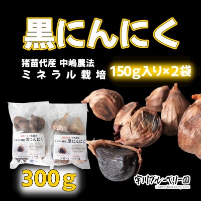 ミネラル栽培の中嶋農法を採用した黒にんにく 300g 猪苗代町産