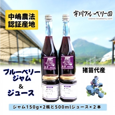 猪苗代町産 自家製栽培 ブルーベリージャム&ブルーベリージュースセット