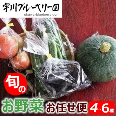 2026年先行予約　宇川ブルーベリー園の旬のお野菜おまかせ便 4～6種 80サイズ箱でお届け
