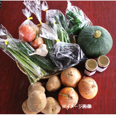 2026年先行予約　宇川ブルーベリー園の旬のお野菜おまかせ便 4～6種 80サイズ箱でお届け