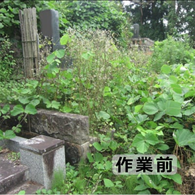 お墓参り・お掃除代行ベーシックプラン