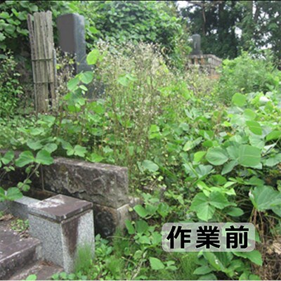 お墓参り・お掃除代行 プレミアムプラン(献花・お線香お供え)