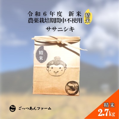 令和6年度産 【どすこい米】 ササニシキ 精米 2.7kg