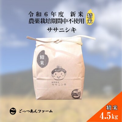 令和6年度産 【どすこい米】 ササニシキ 精米 4.5kg