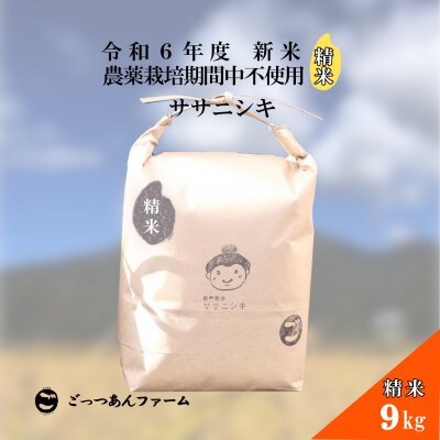 令和6年度産 【どすこい米】 ササニシキ 精米 9kg