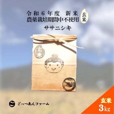 令和6年度産 【どすこい米】 ササニシキ 玄米 3kg