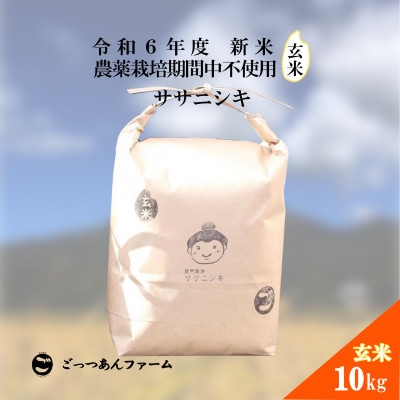 令和6年度産 【どすこい米】 ササニシキ 玄米 10kg