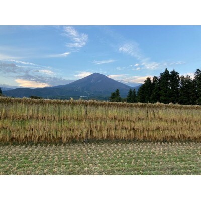 令和6年度産 【どすこい米】 ササニシキ 玄米 10kg