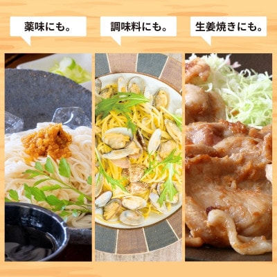 うまくて生姜ねぇ!!シリーズバラエティセット【240g×12本セット】