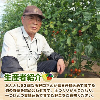 旬の野菜おまかせセット4～6種　80サイズ箱でお届け