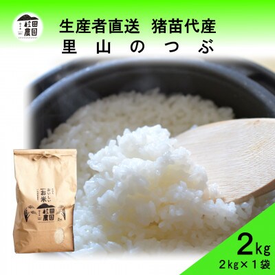 令和6年産  里山のつぶ 2kg 白米 精米 生産者直送