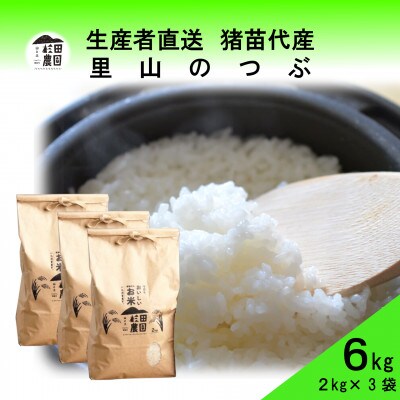 令和6年産  里山のつぶ 6kg(2kg×3袋) 白米 精米 生産者直送