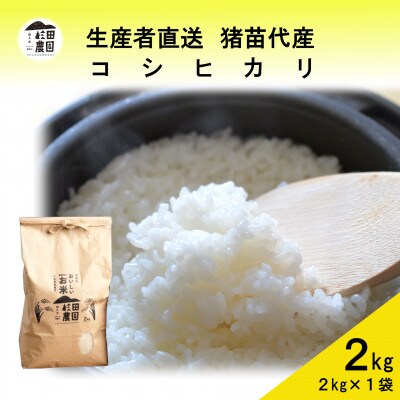 令和6年産  コシヒカリ 2kg 白米 精米 生産者直送