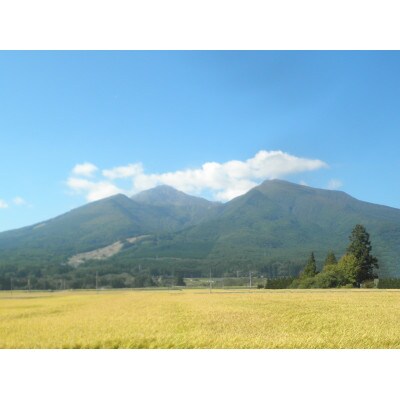 令和6年産  コシヒカリ 2kg 白米 精米 生産者直送