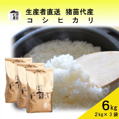 令和6年産  コシヒカリ 6kg(2kg×3袋) 白米 精米 生産者直送