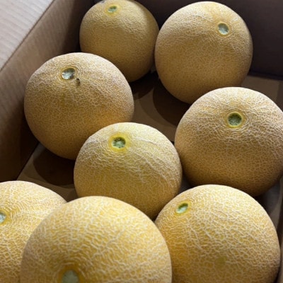 ころたん メロン 3kg 2～3個 ※2025年8月上旬～10月中旬頃に順次発送予定