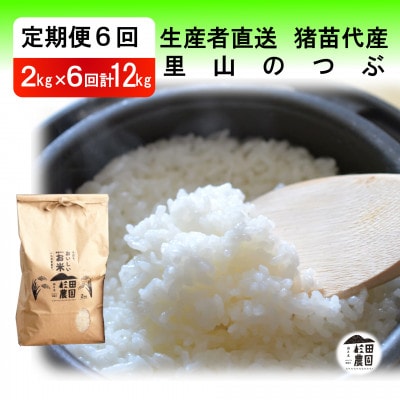 【毎月定期便】里山のつぶ 12kg(2kg×6回) 精米 生産者直送全6回