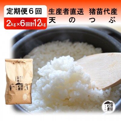 【毎月定期便】天のつぶ 12kg(2kg×6回) 精米 生産者直送全6回
