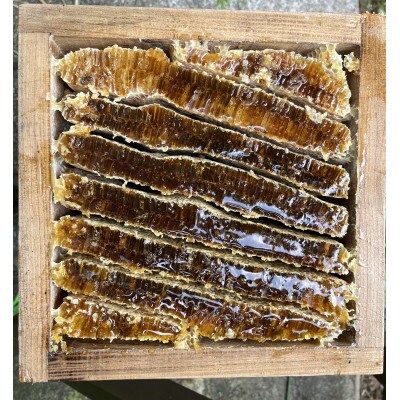 ニホンミツバチのはちみつ|猪苗代町の天然蜂蜜　100g×1瓶